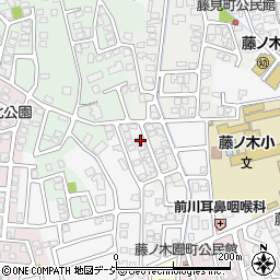 富山県富山市藤見町1226-21周辺の地図