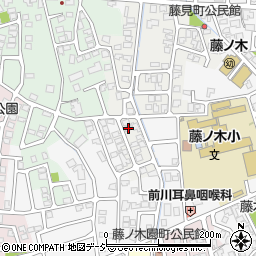 富山県富山市藤見町1226-5周辺の地図