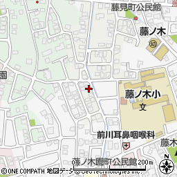 富山県富山市藤見町1226-2周辺の地図