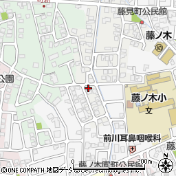 富山県富山市藤見町1226-35周辺の地図