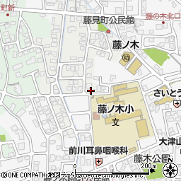 富山県富山市藤見町1163周辺の地図