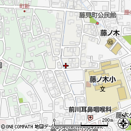 富山県富山市藤見町1162周辺の地図