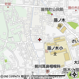 富山県富山市藤見町1159周辺の地図