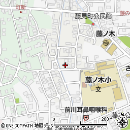 富山県富山市藤見町1161周辺の地図
