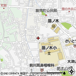 富山県富山市藤見町1164周辺の地図