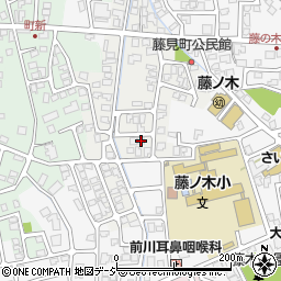富山県富山市藤見町1157周辺の地図