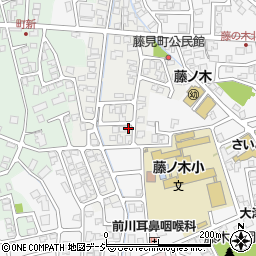 富山県富山市藤見町1158周辺の地図