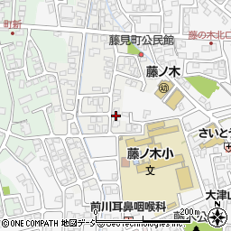 富山県富山市藤見町1165周辺の地図