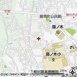 富山県富山市藤見町1143周辺の地図