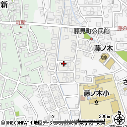 富山県富山市藤見町1139周辺の地図
