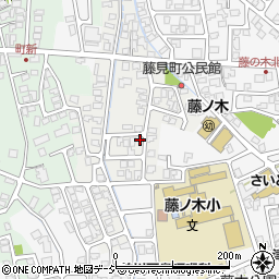 富山県富山市藤見町1142周辺の地図