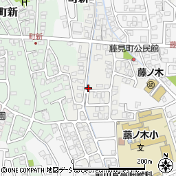富山県富山市藤見町1137周辺の地図