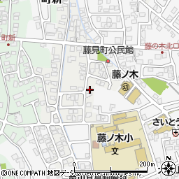 富山県富山市藤見町1169周辺の地図