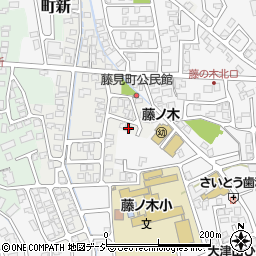富山県富山市藤見町1175周辺の地図