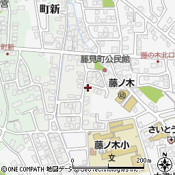富山県富山市藤見町1172周辺の地図
