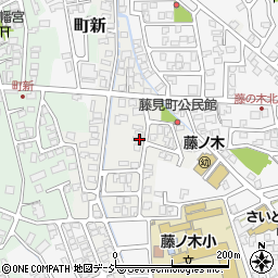 富山県富山市藤見町1128周辺の地図