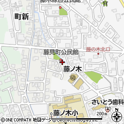 富山県富山市藤見町1189周辺の地図