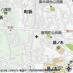 富山県富山市藤見町1114周辺の地図