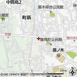 富山県富山市藤見町1120周辺の地図