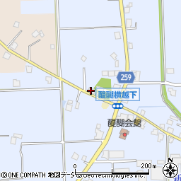 富山県高岡市醍醐532周辺の地図