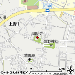 國胎寺周辺の地図