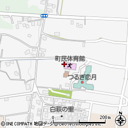富山県中新川郡上市町湯上野599周辺の地図