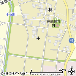 富山県高岡市林866周辺の地図