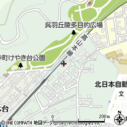 スカイパレス弐番館周辺の地図