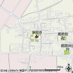 浄照寺周辺の地図