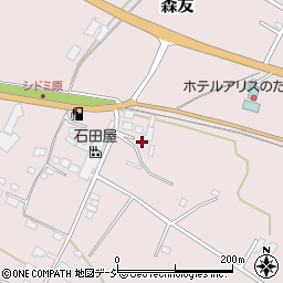 栃木県日光市森友22-9周辺の地図