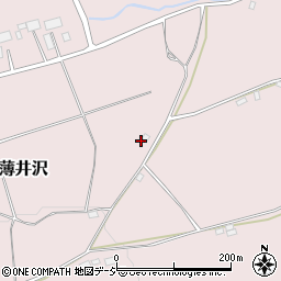 栃木県日光市薄井沢489周辺の地図