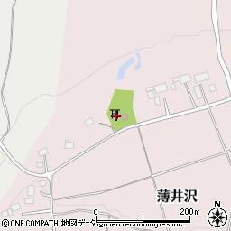 栃木県日光市薄井沢533周辺の地図