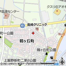 富山県富山市鶴ヶ丘町119周辺の地図