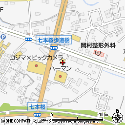 栃木県日光市今市993周辺の地図