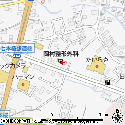 栃木県日光市今市955周辺の地図