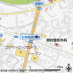 栃木県日光市今市990周辺の地図