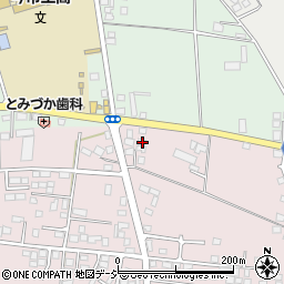栃木県日光市森友1509-118周辺の地図