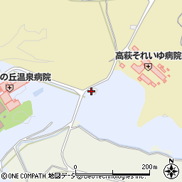 わかば薬局高萩周辺の地図