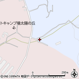 栃木県さくら市金枝21周辺の地図