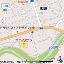 栃木県那須郡那珂川町馬頭1911周辺の地図