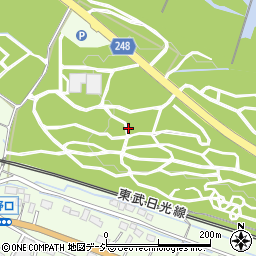 栃木県日光市野口周辺の地図