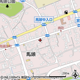 栃木県那須郡那珂川町馬頭308周辺の地図