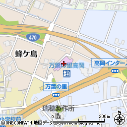 道の駅「万葉の里　高岡」周辺の地図