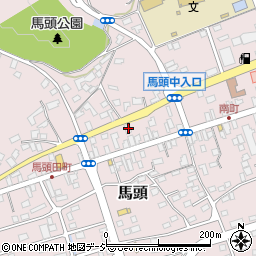 栃木県那須郡那珂川町馬頭295周辺の地図