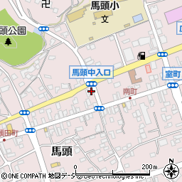 栃木県那須郡那珂川町馬頭319周辺の地図
