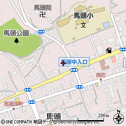 栃木県那須郡那珂川町馬頭198周辺の地図