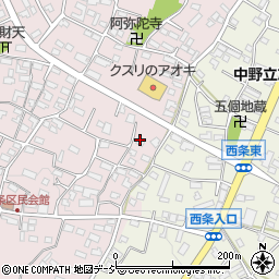 長野県中野市西条859周辺の地図