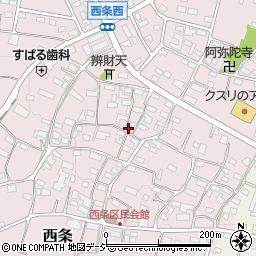 長野県中野市西条732周辺の地図