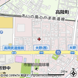 富山県高岡市大野290-2周辺の地図