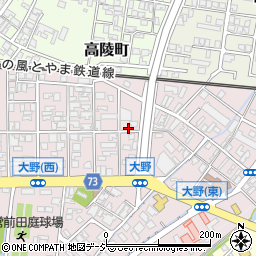 富山県高岡市大野244周辺の地図